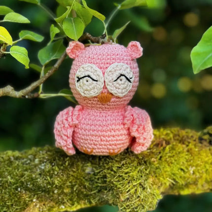 Knitty Critters - Pouch Pals - Oliver Owl