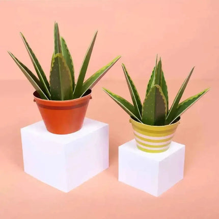 Make Your Own Healing Aloe Vera Paper Plant