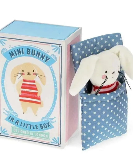 Mini Bunny In A Little Box
