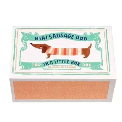 Mini Sausage Dog In A Little Box